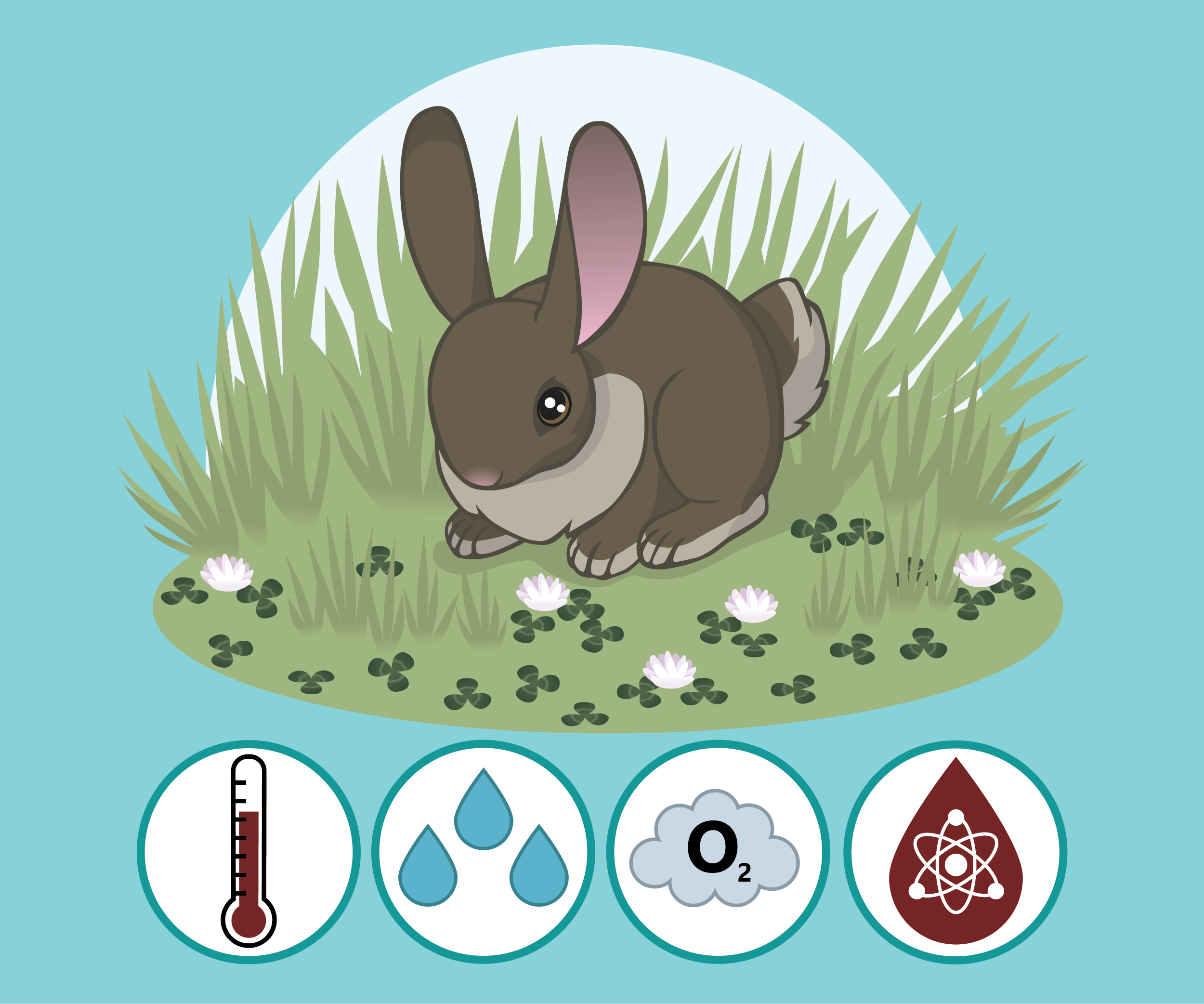 Homeostasis and Allostasis The Partnership in Education